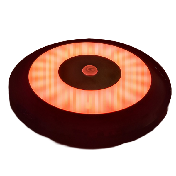 Flex 12V Interior LED Light (White & Red) Dimmable