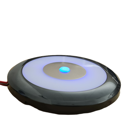 Flex Interior LED light