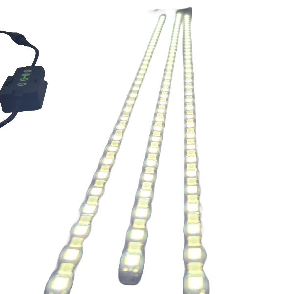 Flex 3 Light LED Awning Kit.