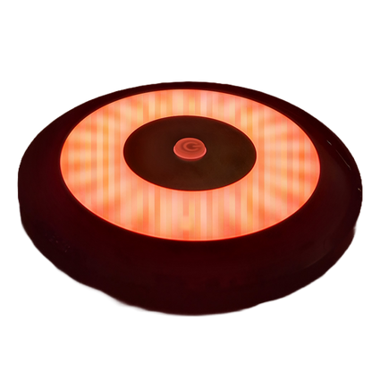 Flex Interior LED light