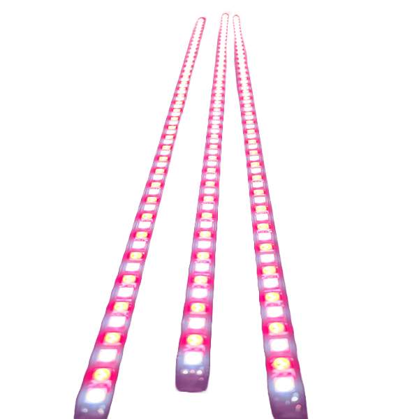 Flex 3 Light LED Awning Kit.