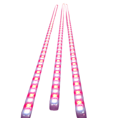 Flex 3 Light LED Awning Kit.