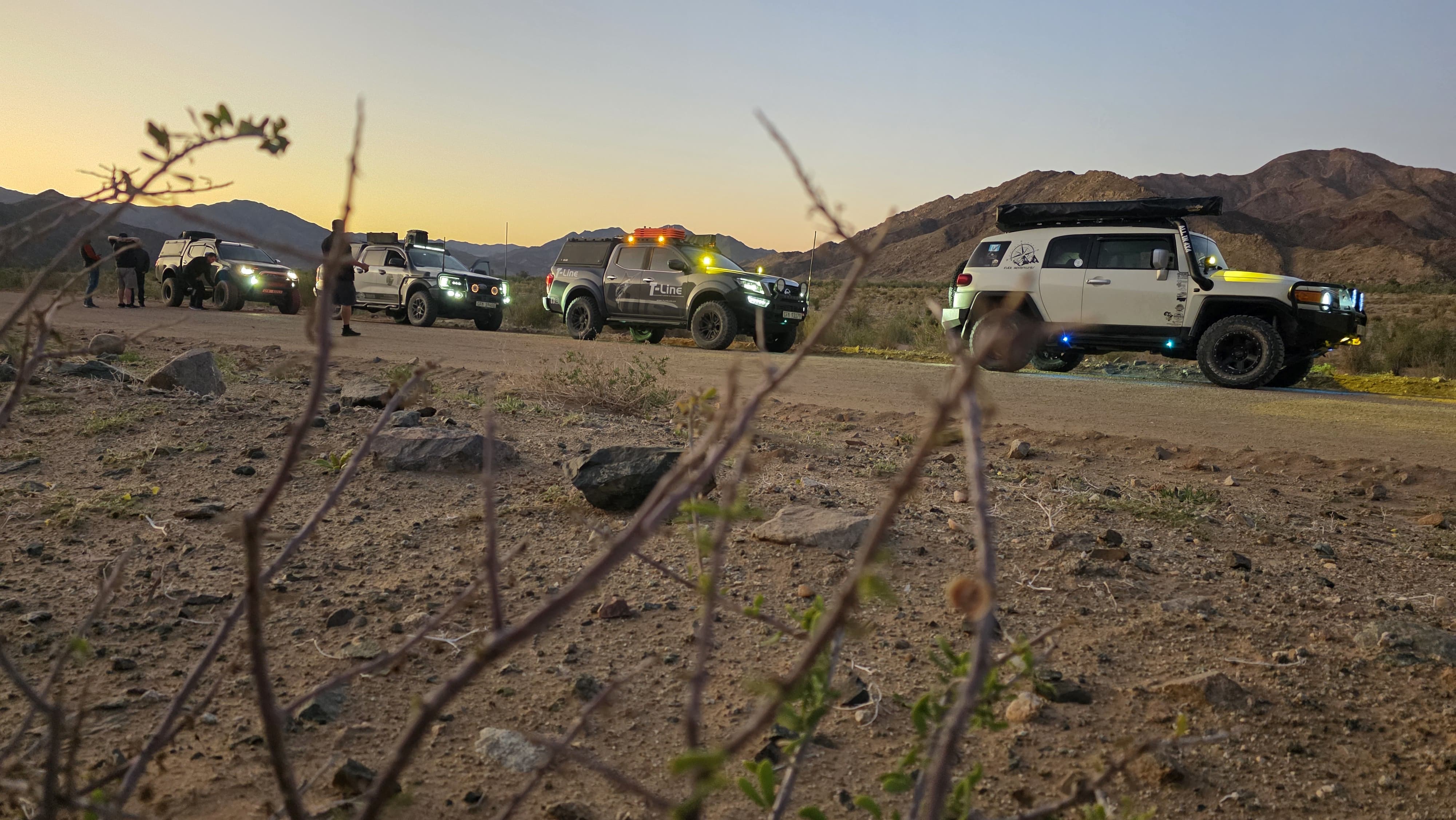 Flex Adventures